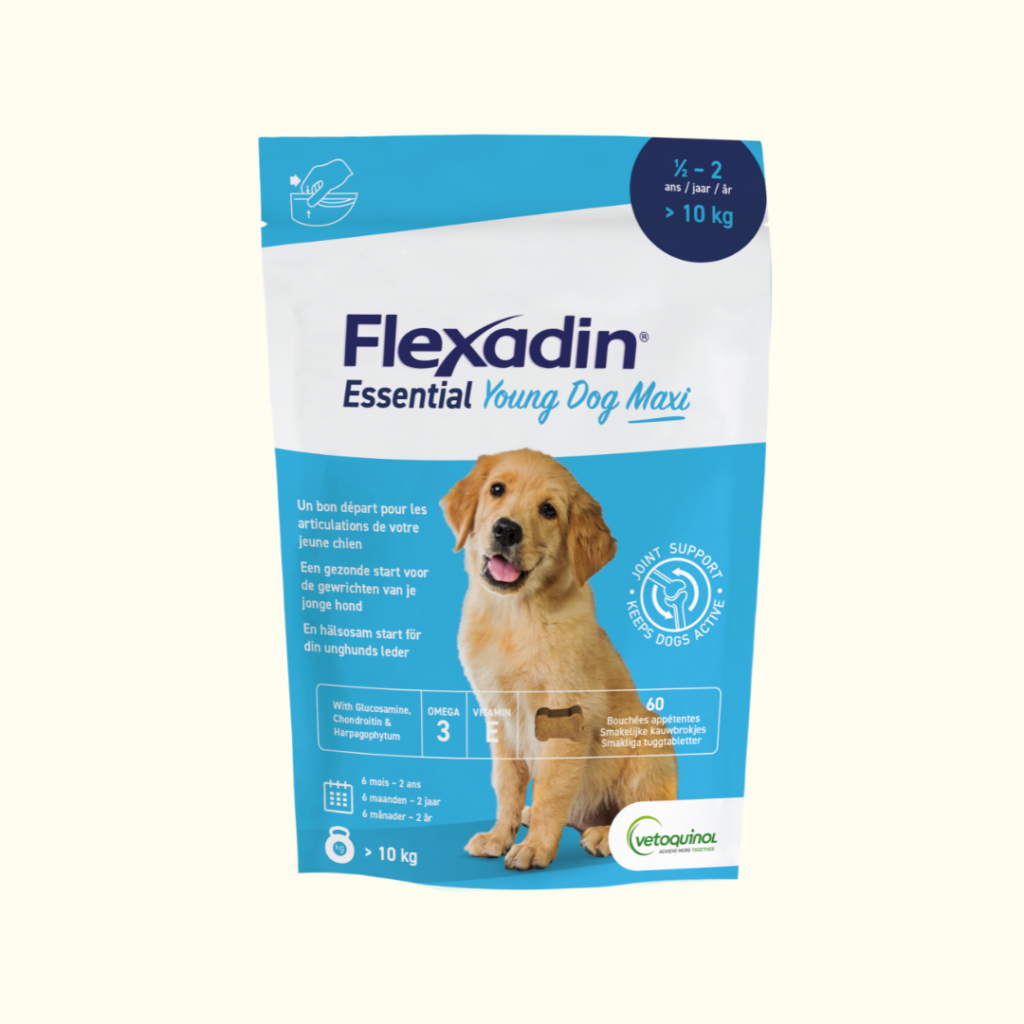 flexadin-jeune-chien-1