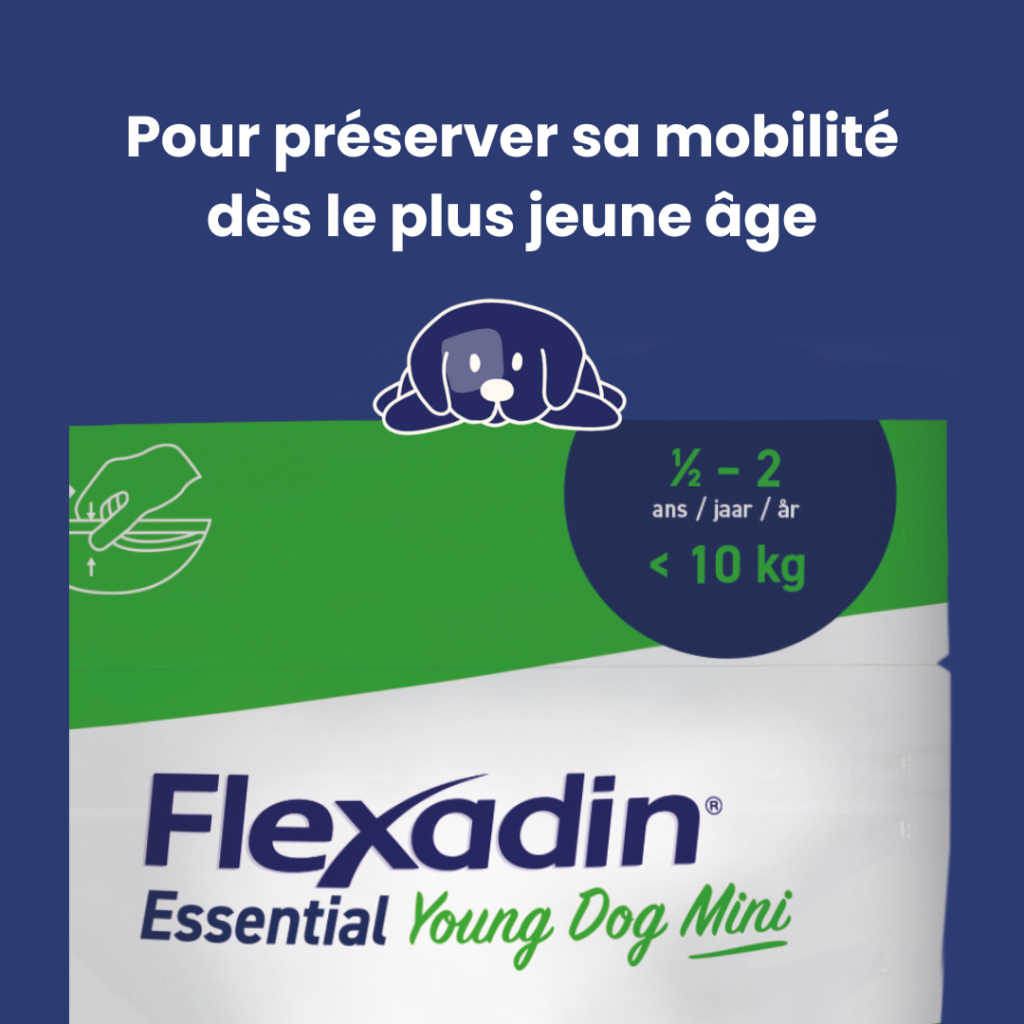 flexadin-essential-2