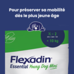 flexadin-essential-2