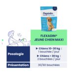 flexadin-jeune-chien-3
