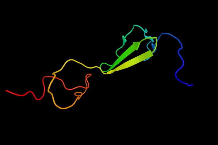 collagène de type II non dénaturé